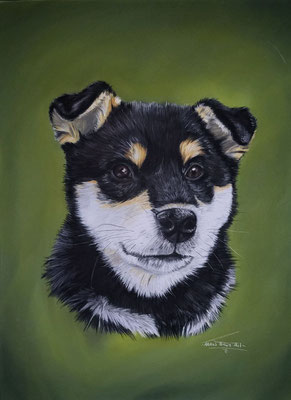 ,,Akira" - Dezember 2022- 30x40cm