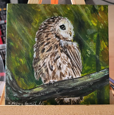 10x10cm Mini Acryl - Waldkauz 2022 - zum verkauf