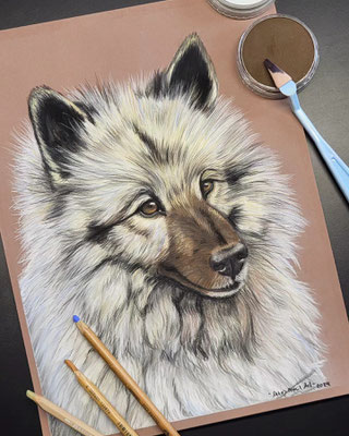 Eurasier - 24x32cm - 2024