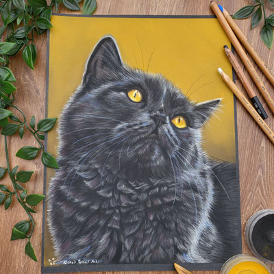 ,,Russisch Blau"-24x32cm Pastel - August 2025 - Übungsportrait