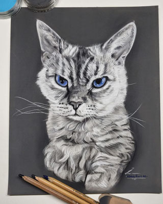 ,,Muffin" 24x30cm- Auftragsarbeit August 2023