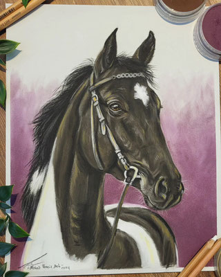 ,,Tinker" 24x30cm Pastel - Dezember 2024 - Übungsportrait