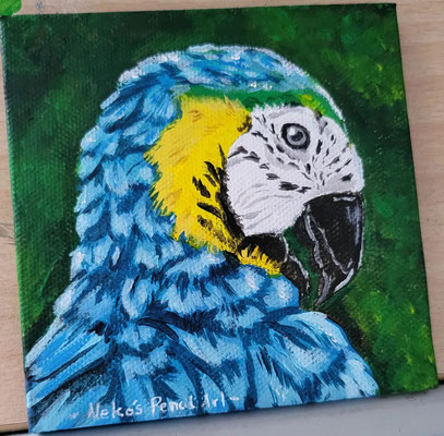 10x10cm Mini Acryl - sold - Papagei