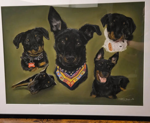 Auftragsarbeit  50x70cm - 2022/2023