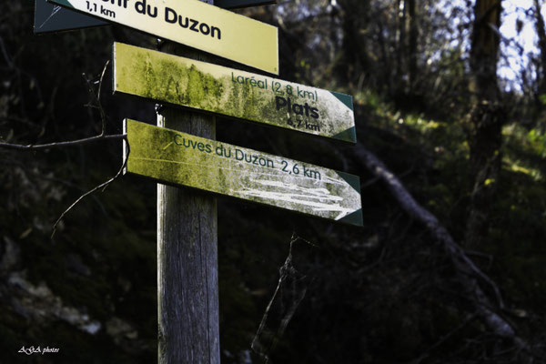 En route pour la CUVE du DUZON (DRÔME)