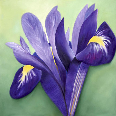 Irisblüte - Öl auf Leinwand, 60 x 60 cm