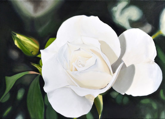 White Rose - Öl auf Leinwand, 70 x 50 cm