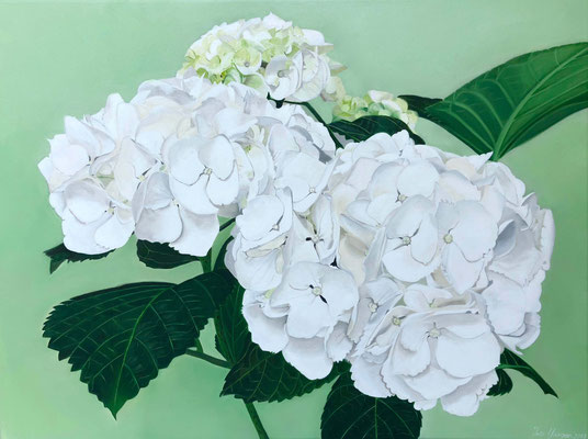 Hortensie weiß - Öl auf Leinwand, 80 x 60 cm