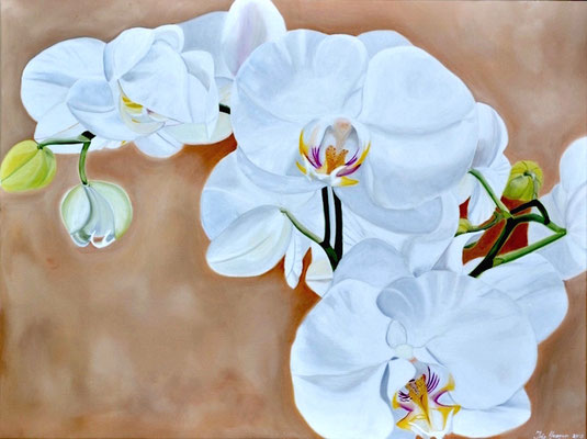 White Orchidee - Öl auf Leinwand, 80 x 60 cm