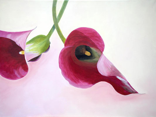 Calla pink - Acryl auf Leinwand, 80 x 60 cm