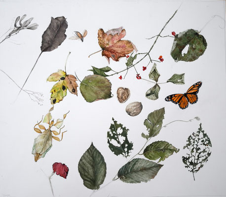 Blätter etc.Gouache auf Papier.