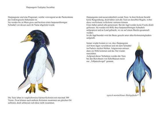 Harpunguin