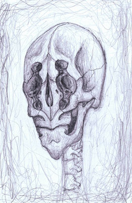 "foreign Skull"