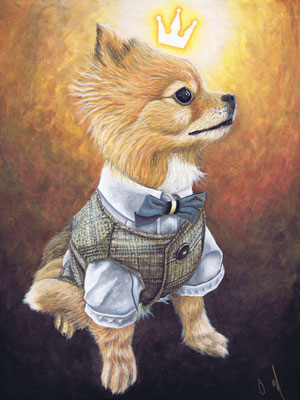 "Prince Benji" (unverkäuflich)