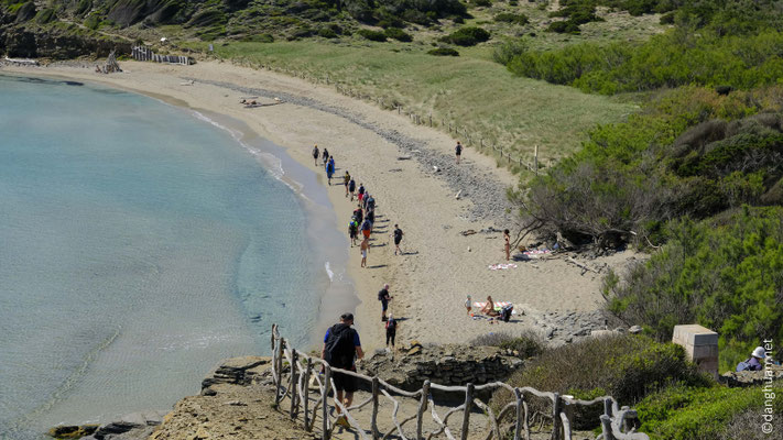 Côte Est : Plage de Tortuga