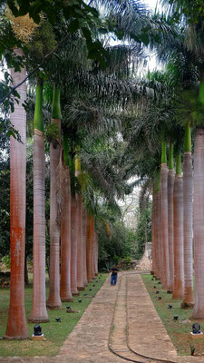 Hacienda Ochil