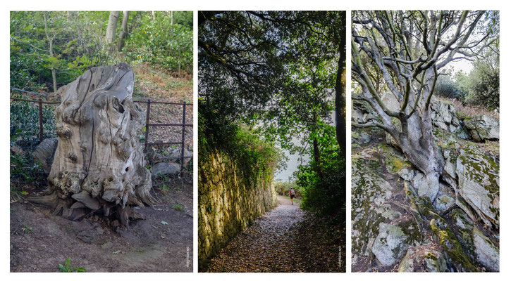 Randonnées sentier côtier au Sud le long du Cliff Path