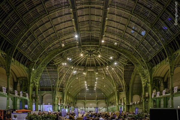 Le grand palais