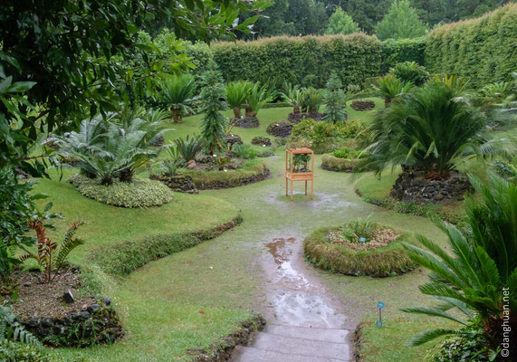 Jardin Terra Nostra - la collection de Cycas