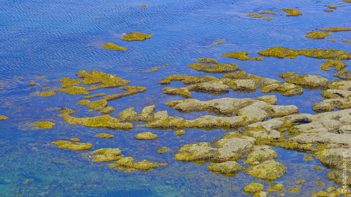 Presqu'île de crozon - le Cap de la chèvre (côte Ouest) 