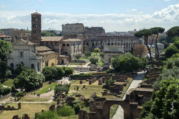 Le Forum