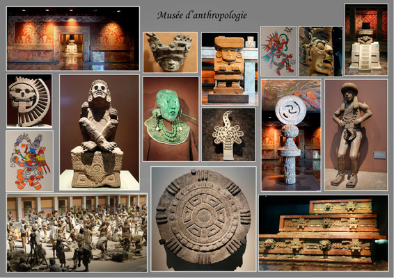 Musée d'anthropologie
