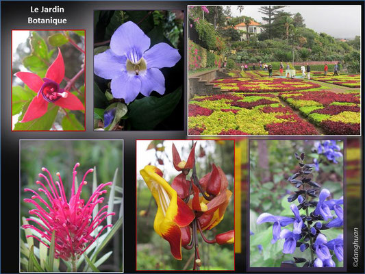 Funchal - Jardin Botanique