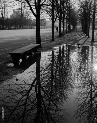 Jardin des Tuileries