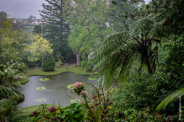 Jardin Terra Nostra