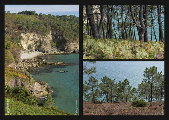 Presqu'île de crozon - le Cap de la chèvre (côte Est)