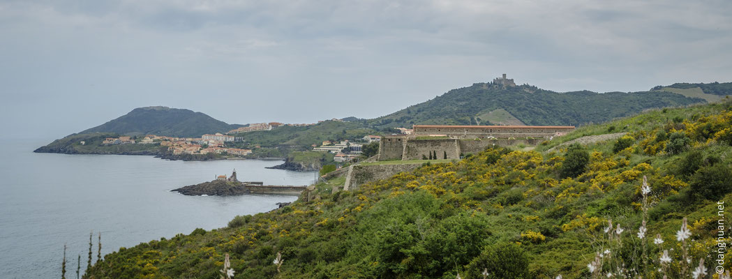Descente vers Collioure (avec le tour de la Madeloc en arrière plan)