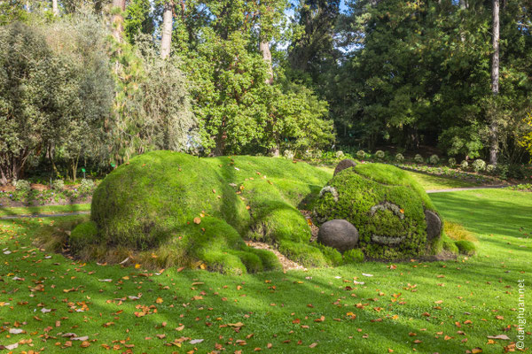 Le jardin des plantes