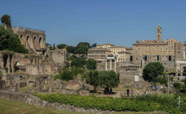 Le Forum