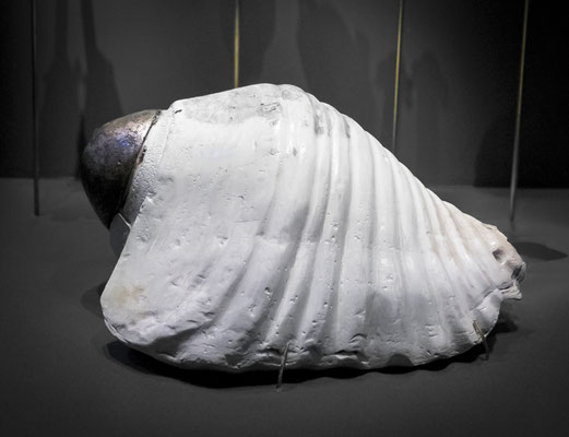 Trompette de coquillage géant, culture Mochica (100 - 800 après JC)