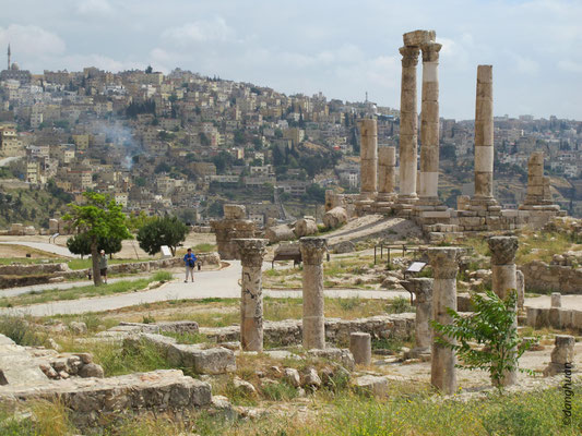 Amman