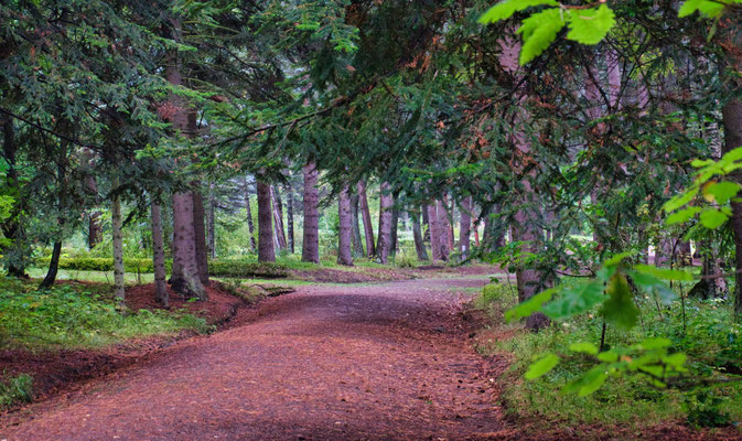 Situé à Stepanavan, Dendropark est un bel arboretum ...