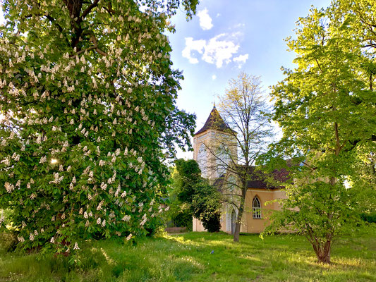 Paretzer Dorfkirche hinter blühenden Kastanien