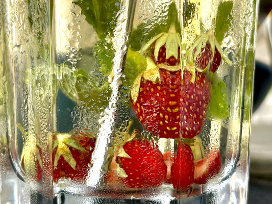 Drinks, Cocktails & Longdrinks auf dem Storchenhof Paretz