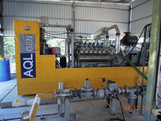 CSTR digester dairy cattle manure - biogas generator - Aqualimpia Engineering