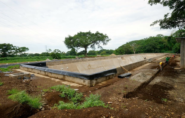 High-efficiency tropicalized anaerobic digester for livestock manure