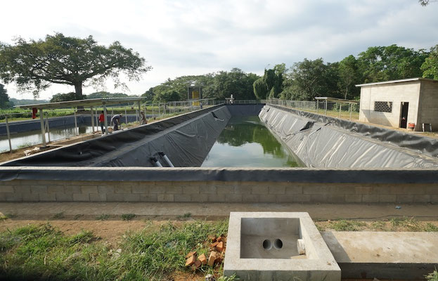 High-efficiency tropicalized anaerobic digester for livestock manure