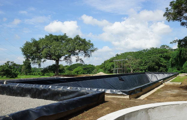 High-efficiency tropicalized anaerobic digester for livestock manure