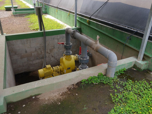 Covered lagoon digester for dairy cattle manure - sludge extraction and agitator - livestock waste 