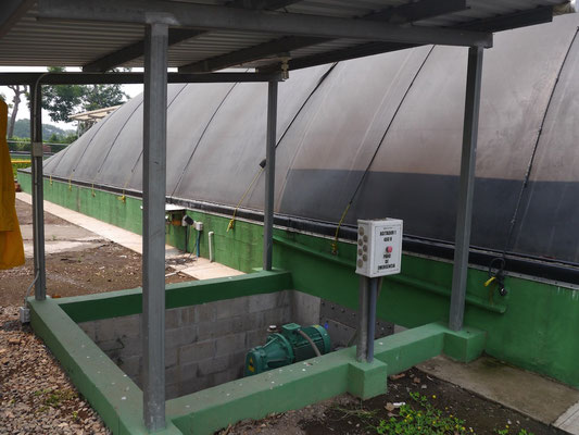 Covered lagoon digester for dairy cattle manure - sludge extraction and agitator - livestock waste 