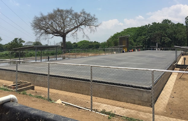 High-efficiency tropicalized anaerobic digester for livestock manure
