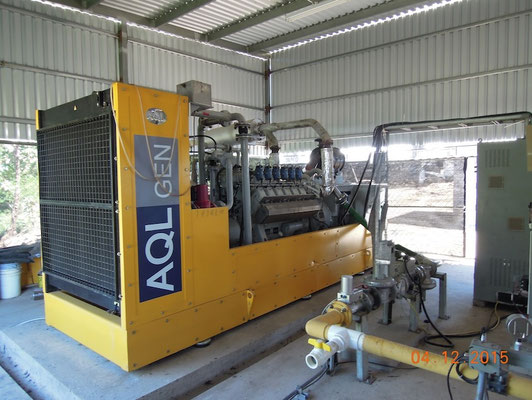 CSTR digester dairy cattle manure - biogas generator - Aqualimpia Engineering