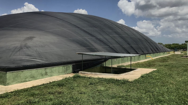 CSTR Lagoon digester pig manure - Aqualimpia Engineering Germany