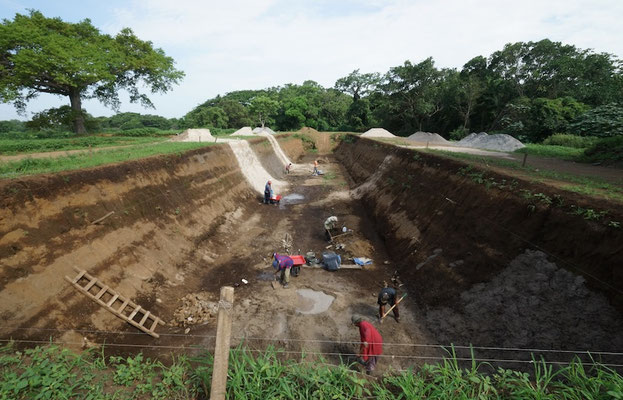 Lagoon CSTR Digester by AquaLimpia Engineering Precision Excavation & Site Preparation