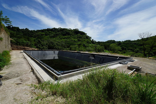 Digester for pig manure -Livestock Manure Swine - biogas
