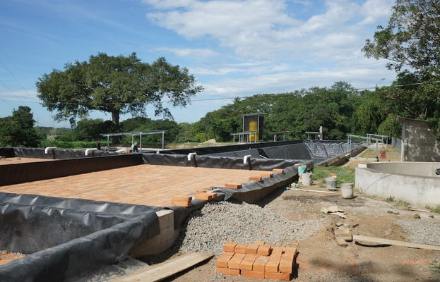 High-efficiency tropicalized anaerobic digester for livestock manure